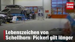 114 Regeln vor Aus - Lebenszeichen von Schellhorn: Pickerl gilt l&auml;nger | krone.tv NEWS