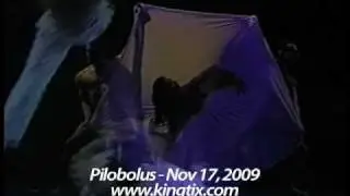 Pilobolus at Kingsbury Hall