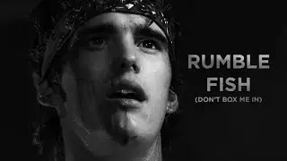 Rumble Fish | Don't Box Me In