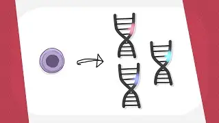 Acute myeloid leukemia: Genetic changes
