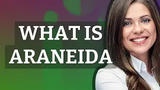Araneida | meaning of Araneida