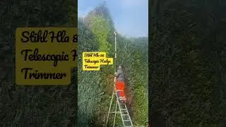 Stihl Hla 86 telescopic Hedge Trimmer
