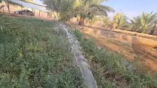 مشكلة الرشاشات مع الماء المالح جدا