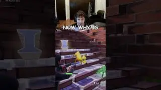 Fortnite заставил меня сделать это с моей собакой 💀 #шорты