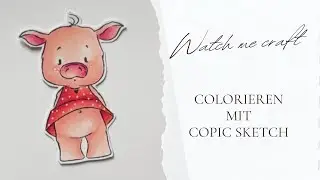 🐷🥠🍀Colorieren mit Copics| Schweinchen-Glück| creative-depot🍀🥠🐷