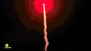 0201    Single Shot: Comet - Red Tiger Tail w/Tube