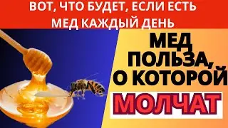 ВОТ, ЧТО БУДЕТ, ЕСЛИ ЕСТЬ МЕД КАЖДЫЙ ДЕНЬ. Польза меда #мед  #здоровье #пользамеда