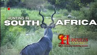 Epic Hunting Adventure in South Africa | Hercules Safaris Experience