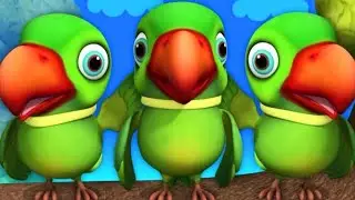 मिट्ठू मिट्ठू 🦜 मैं तोता 🦜 मैं तोता 🦜 #parrot #trending #talkingparrot #viralvideo