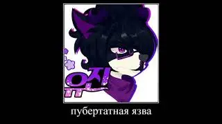 В ГЛАВНЫХ РОЛЯХ: LAPFOX TRAX/HALLEY LABS