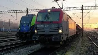 BR 193 Vectron vs Dragon 2. EU 46 vs ET 26. Siemens vs Newag. Węgliniec 2020.