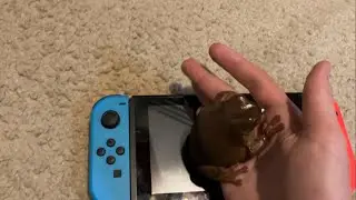 How To Put a Frog On a Nintendo Switch