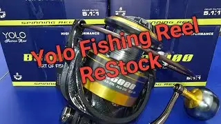 Budget Friendly Best Carp Fishing Reels ! Ideal fishing hobby 