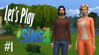 LP TS4 Challenge 