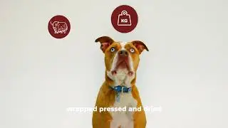 Bully Bunches Natural Bully Sticks and Other Dog Chews