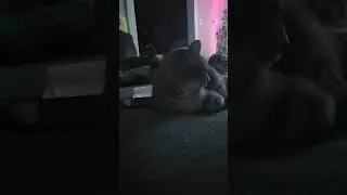 Угадайте, кто вернулся?
