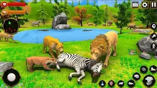 Lion Family Animal Simulator - Angry Wild Lion Game - Android GamePlay