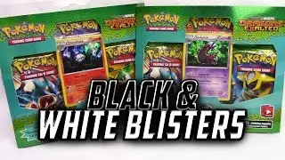 2 Dragons Exalted Black & White Era Blister Packs 6 Booster Pack Opening!!
