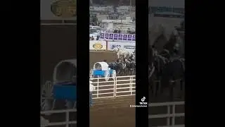 SALINAS CALIFORNIA RODEO🏠🐴/RODEO DE SALINAS