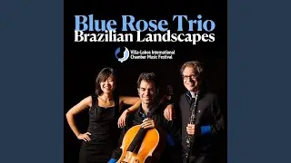 Brazilian Landscapes No. 16: II. Choro