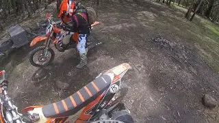 We didnt expect this...Wombat Sate Forest Dirtbikes (Watch in 4k)