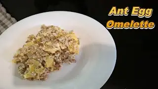 First Time Cooking & Eating Ant Larvae🇲🇽#mexicanfood #edibleinsects #asianfood #exoticfood #omelette