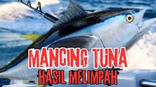 Memancing air asin grup pemancing penakluk samudera luas dapat tuna 300kg (bagian 3)