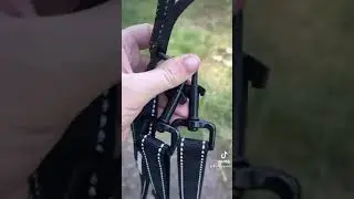 PetBonus Double Dog Leash, No Tangle Dual Dog Leash Review