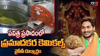 కల్తీ నెయ్యిలో ప్రమాదకర కెమికల్స్ | Tirumala Ghee Case | YCP | SIT Chargesheet || TV5 News