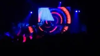 Carla cox Circoloco
