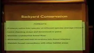 Backyard Habitat (Part 4)