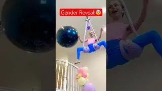 Gender Reveal FAIL!😨