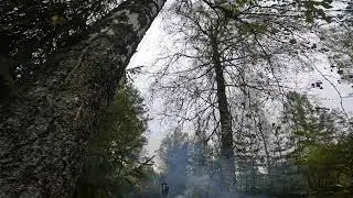 Вог-25 выстрел