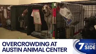 Overcrowding, heat concerns grow at Austin Animal Center | FOX 7 Austin