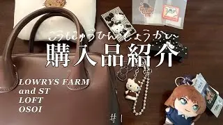 【購入品紹介】最近買った可愛いものを紹介🍎LOWRYS FARM | and ST | OSOI | LOFT