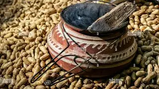 Peanuts 🥜 Roasted in Sand ❤️ #asmrsounds #peanut #roastedpeanuts #nature #cooking #trending