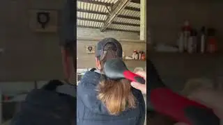 Si les humains r&eacute;agissaient comme les chevaux PART.3 😅 #humour #equitation #cheval #ponycorn