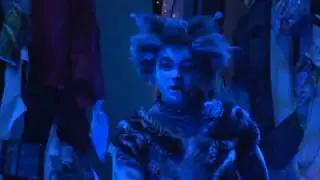 Notte da Jellicle - Formiche - teatro del Giglio - Lucca