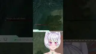 The first time elden ring experience