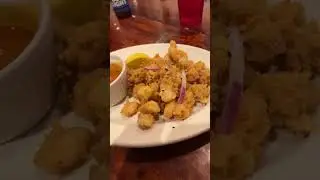 Down in grand isle at the Hurricane hole with me and my calamari.