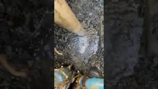#charlotte #leak #plumbing