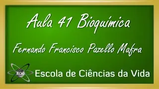 Bioquímica: Aula 41 - Considerações gerais do metabolismo da glicose