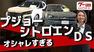 プジョーもシトロエンもDSも取り扱う正規ディーラー！【ホワイトハウス】-グーネットショップリポーター-