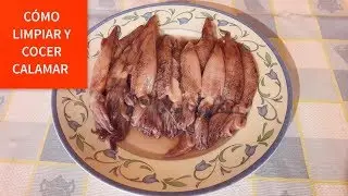 Como Cocer Calamar explicado paso a paso RECETA FACIL