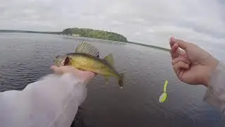 Wisconsin Dells Walleye Trolling - Bottom Bouncers and Crankbaits