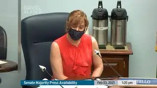 Alaska Senate Majority Press Availability - Feb. 3, 2021