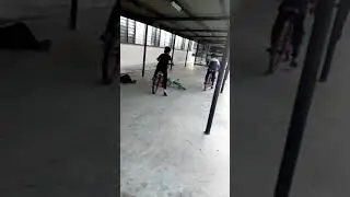 Lajak kecundang
