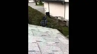 Daniels adventures