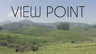 Munnar view point and Elephant Park