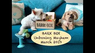 Bark Box - March 2019:  Unboxing Madness...The sidekicks are running this video!🐕🐶🐾🦴💖